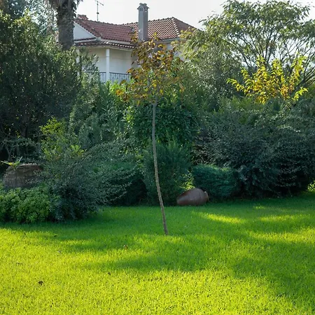 Konstantina's 度假居